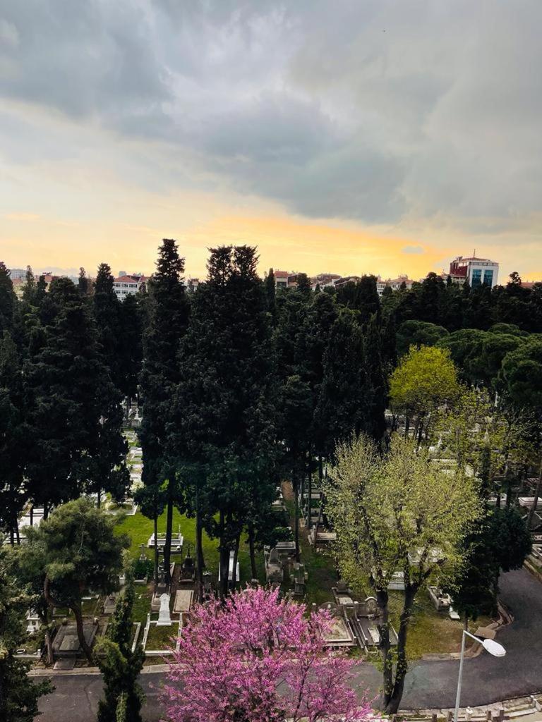 Aymira Suite Hotel Istambul Quarto foto